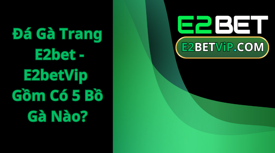 Đá Gà Trang E2bet - E2betVip Gồm Có 5 Bồ Gà Nào